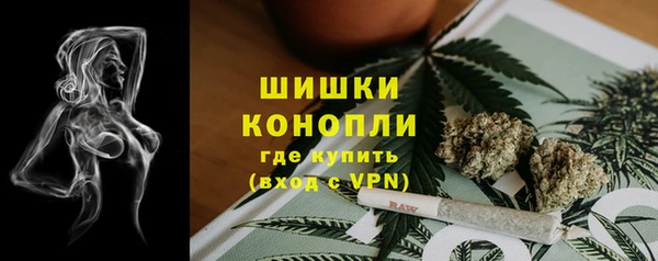 прущая мука Каменногорск