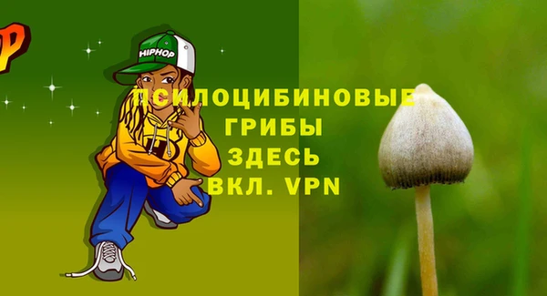 СК Касимов